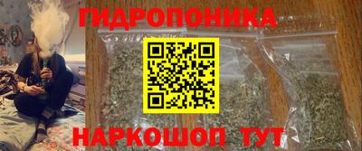 молекула духа Ставрополь