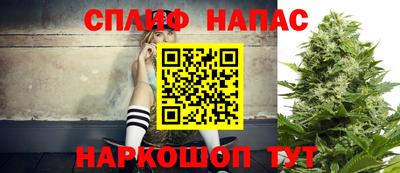 молекула духа Ставрополь